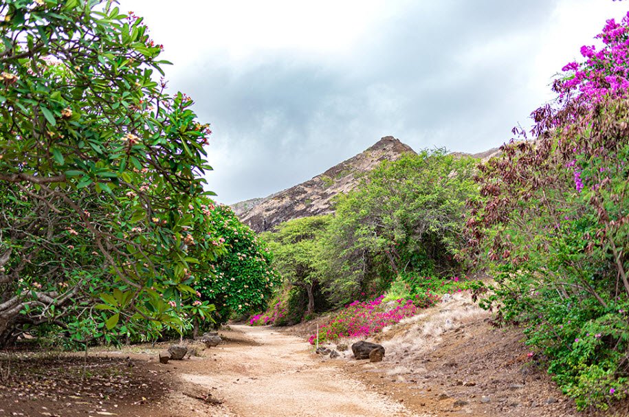 Koko Crater Botanical Garden, United States